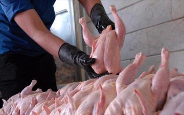 ممنوعیت فروش مرغ قطعه شده از روز شنبه ۱۴ فروردین