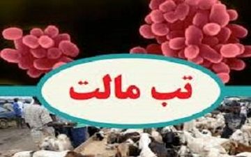 هشدار؛ لبنیات سنتی مصرف نکنید