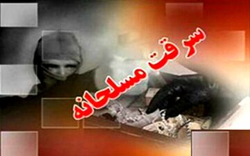 دستگیری 12 سارق مسلح در جنوب شرق کشور