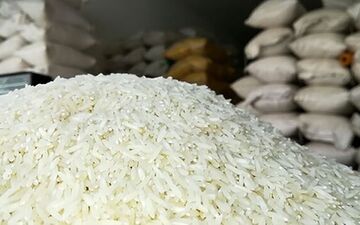 قیمت برنج وارداتی مهر ۱۴۰۴؛ نرخ پاکستانی، هندی و تایلندی + جدول