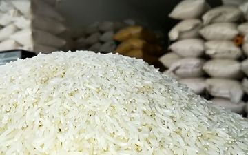 قیمت برنج وارداتی مهر ۱۴۰۴؛ نرخ پاکستانی، هندی و تایلندی + جدول
