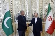 رایزنی وزیر کشور پاکستان با عراقچی 