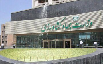 اقدام عجیب وزارت کشاورزی در راستای گرانی مرغ!؟