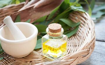 فواید روغن اکالیپتوس برای تنفس بهتر؛ راهکاری طبیعی برای کاهش مشکلات تنفسی