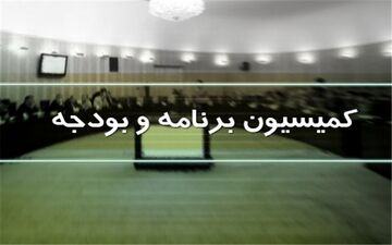 تشکیل ۳ کمیته تخصصی جدید در کمیسیون بودجه مجلس
