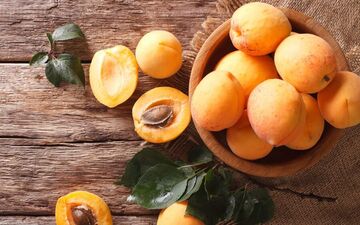 آیا خوردن مغز هسته زردآلو برای ما ضرر دارد یا مفید است؟
