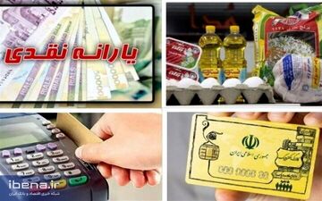 مردم تخلفات فروشگاه‌ها در طرح فجرانه را گزارش دهند