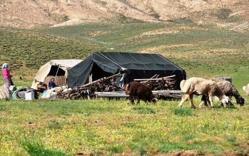  بیمه عشایر در سال ۱۴۰۱ رایگان می شود 