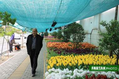 گزارش تصویری از پیاده راه لاله برای مادران 