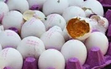 کشف و معدوم سازی ٦هزار تخم مرغ فاسد در یک شیرینی پزی بهارستان