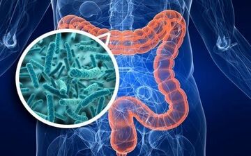 
این نوشیدنی ضامن سلامت روده شما است