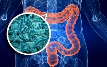 
این نوشیدنی ضامن سلامت روده شما است