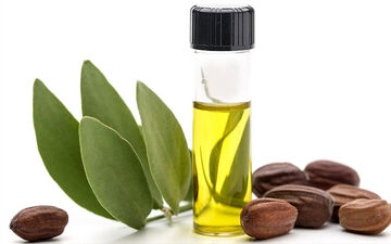 از خواص شگفت انگیز روغن جوجوبا باخبرید؟