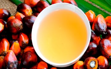 روغن پالم باعث بالا رفتن کلسترول بد خون می‌شود؟