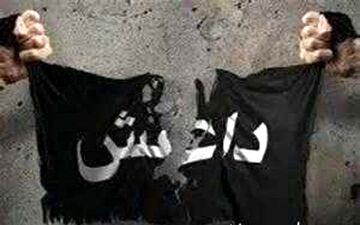 اولین عکس از داعشی ها دستگیر شده در غرب کشور 