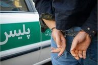 سارق قطعات و محتویات داخل خودرو در مراغه دستگیر شد