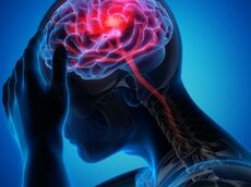 مرگ مغزی چیست؟ تفاوت مرگ مغزی با کما و حقیقتی که خانواده‌ها باید بدانند