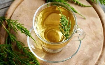 گیاه دم اسبی: ۷ خاصیت شگفت‌انگیز برای سلامتی و زیبایی