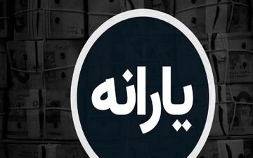 وزیر کار از حذف یارانه این دهک‌ها خبر داد