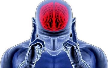تاثیر مستقیم آلودگی هوا بر سکته مغزی/ لزوم فرهنگ سازی برای