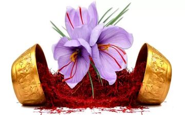 چه موقع از سال زعفران بخریم؟ + لیست قیمت انواع زعفران