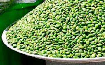 جولان میوه های اعیانی در پایتخت + فیلم