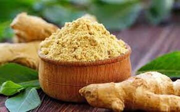 با این گیاه مخصوص لاغری دردمعده و رفلاکس را رفع کنید 