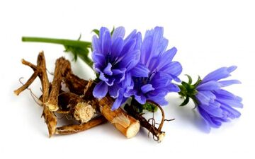 خواص شگفت انگیز کاسنی