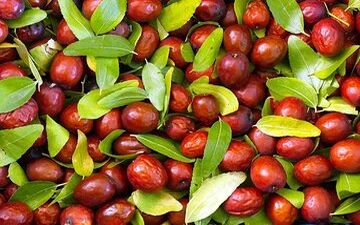 خواص این میوه برای سلامت جنسی مردان

