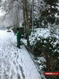 برف در تهران