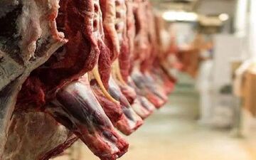 راهکار هایی برای کاهش فوری قیمت گوشت قرمز 