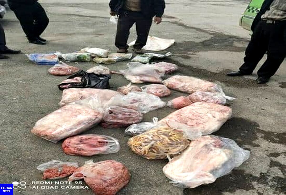 
جمع آوری وامحاء بیش از ۴۰۰ کیلو گوشت و فرآورده خام دامی در بازدید مشترک