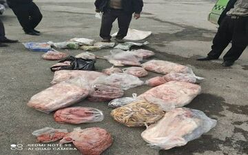 
جمع آوری وامحاء بیش از ۴۰۰ کیلو گوشت و فرآورده خام دامی در بازدید مشترک