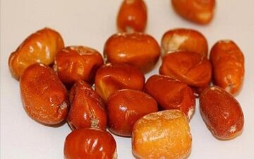  خواص معجره‌آسای پودر "سنجد"