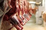 پلمب دو قصابی در رضوانشهر به دلیل فروش گوشت فاسد