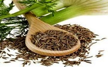 از خواص بی نظیر رازیانه بیشتر بدانید