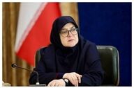مهاجرانی: تمام وزرای دولت کنار مردم هرمزگان ایستاده‌اند 