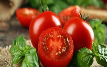 خوراکی‌هایی مفید برای مراقبت از پوست