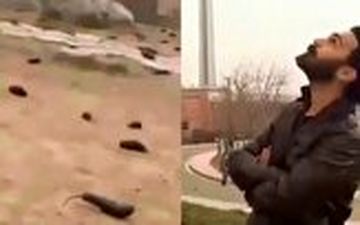 صحبت‌های جالب جوانی که عامل باران بادمجانی بود!