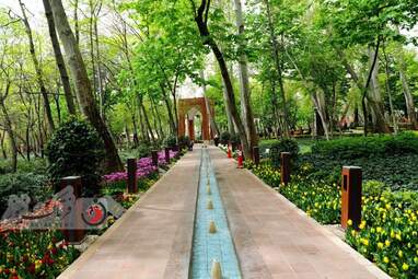  باغ ایرانی  بوستان  لاله های رنگین 