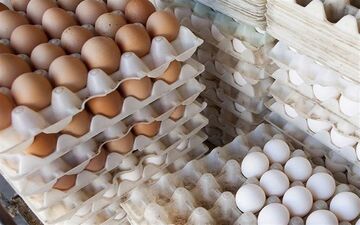  عرضه تخم مرغ ارزان در میادین و بازارهای میوه و تره بار