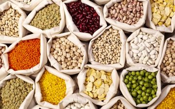  قیمت لوبیا چیتی پرواز کرد 
