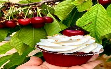 آموزش امروز خیلی جذابه پس از دستش ندید!| طرز تهیه کاپ کیک گیلاس !