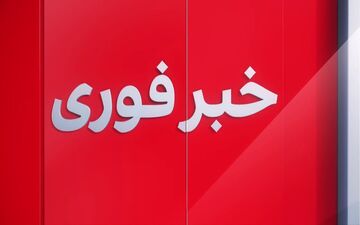 ورود اولین دسته از پهپادهای ایران به سرزمین‌های اشغالی و واکنش شهرک نشینان صهیونیست! + ویدئو