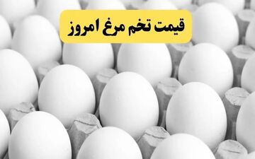 افزایش شدید قیمت تخم‌مرغ؛ نرخ تازه هر کیلو اعلام شد