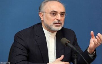 هشدار علی اکبر صالحی  نسبت به نقض برجام توسط آمریکا