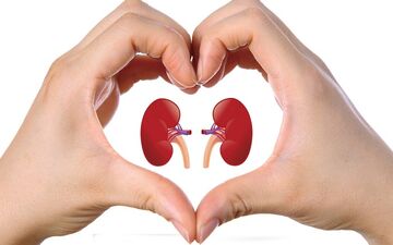 از کجا بفهمیم مشکل کلیه داریم؟علت تشکیل سنگ کلیه چیست؟