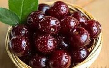 خواص بی نظیر گیلاس!