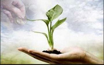 
اثرات صدقه در زندگی انسان
