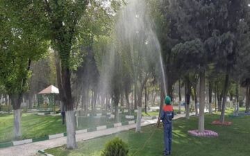 آغاز عملیات سم‌پاشی درختان نارون شهر کرمانشاه